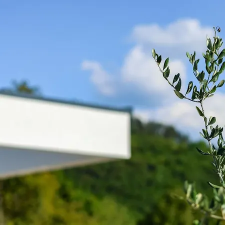 Forest Nest Sarajevo