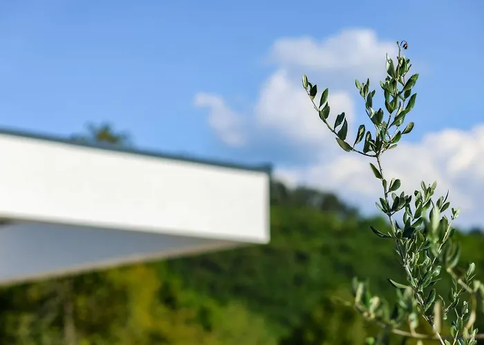 Forest Nest Sarajevo